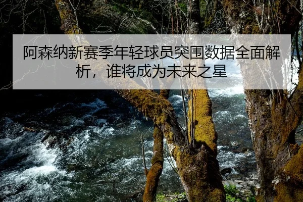 阿森纳新赛季年轻球员突围数据全面解析，谁将成为未来之星